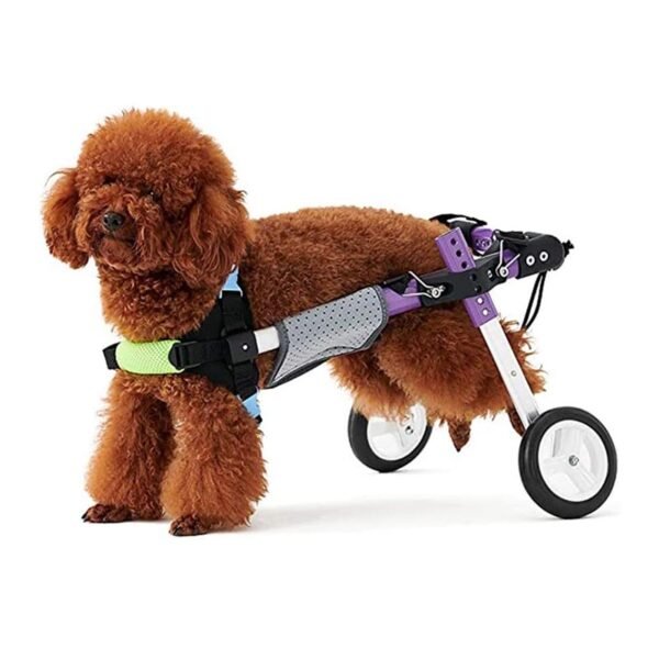 Fauteuil Roulant réglable pour Chien et Chat – Image 5