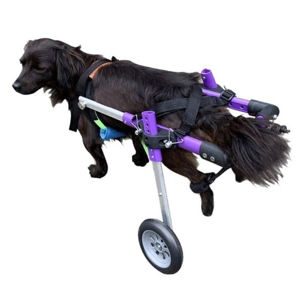 Fauteuil Roulant réglable pour Chien et Chat – Image 4